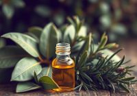 Jak zrobić olejek laurowy i rozmarynowy na ból stawów?