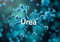 Mocznik: co powinieneś wiedzieć o jego powstawaniu i roli w organizmie Mocznik: co powinieneś wiedzieć o jego powstawaniu i roli w organizmie