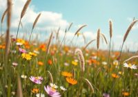 Katar sienny – objawy, przyczyny i skuteczne metody leczenia Katar sienny – objawy, przyczyny i skuteczne metody leczenia