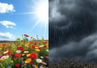 Choroba dwubiegunowa: objawy, przyczyny, diagnoza i leczenie