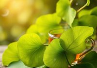 Miłorząb japoński – jak przygotować herbatę i jakie ma właściwości? Miłorząb japoński – jak przygotować herbatę i jakie ma właściwości?