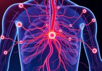 Układ limfatyczny: rola, budowa i choroby – poznaj podstawy zdrowia